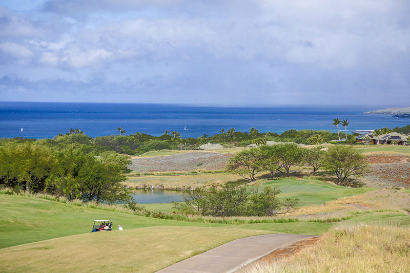 Book Top Kohala Coast Vacation Rentals Paradise in Hawaii Luxury