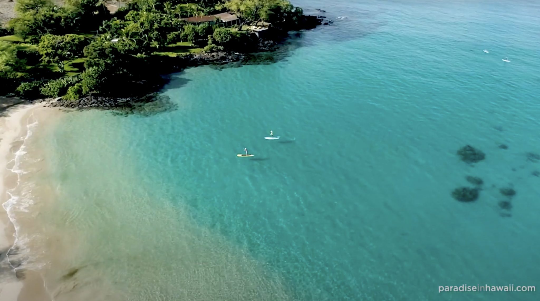 Visiting Big Island in Spring 2021 | Paradise in Hawaii