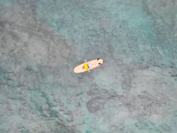 Birds-eye-view of single surfer lying on board